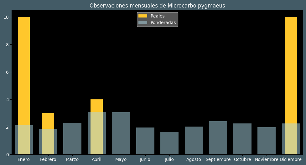 Observations by Month