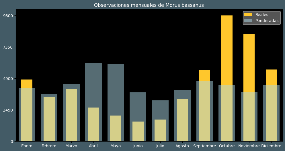 Observations by Month