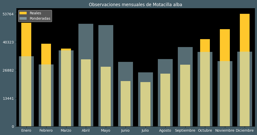 Observations by Month