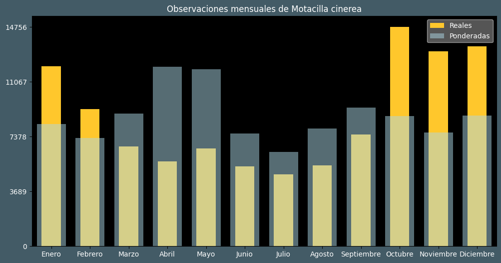 Observations by Month