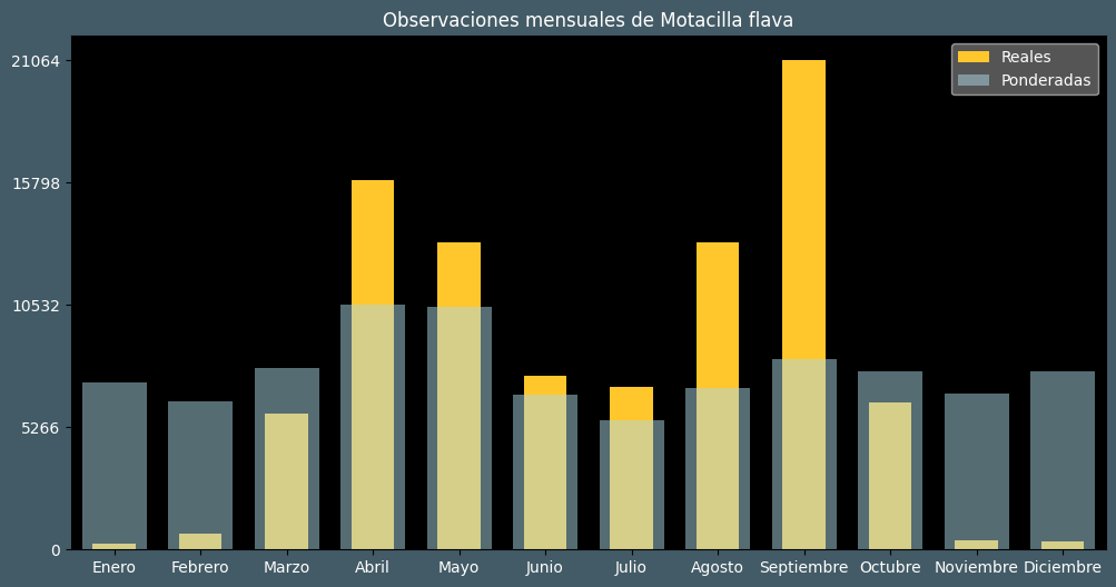 Observations by Month