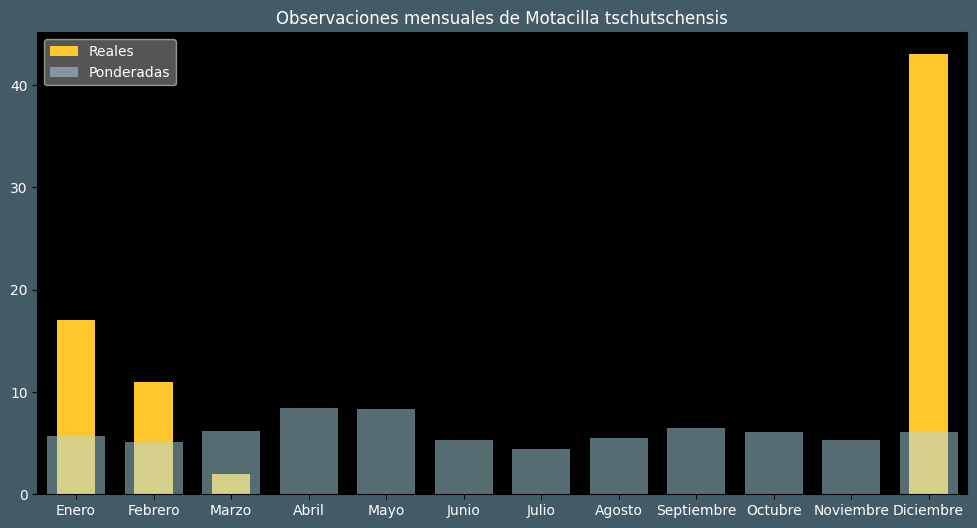 Observations by Month