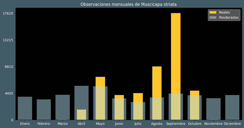 Observations by Month