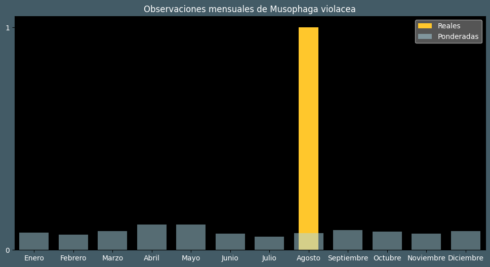 Observations by Month