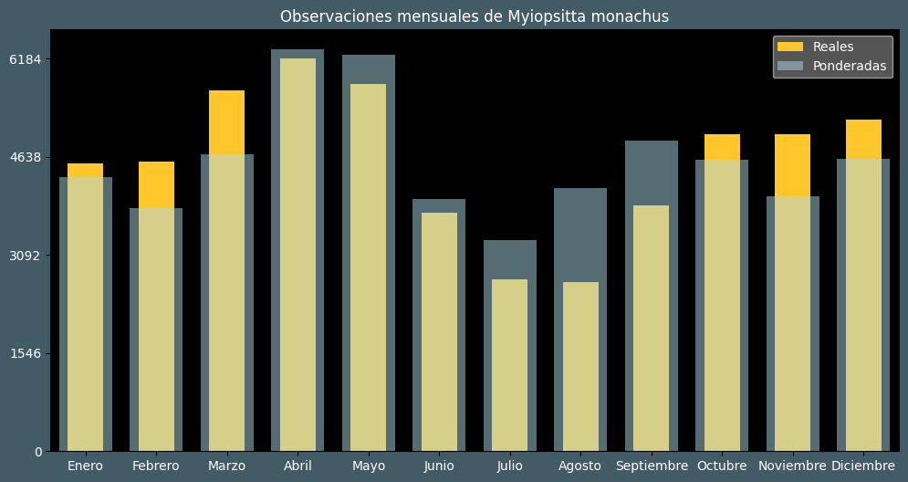 Observations by Month