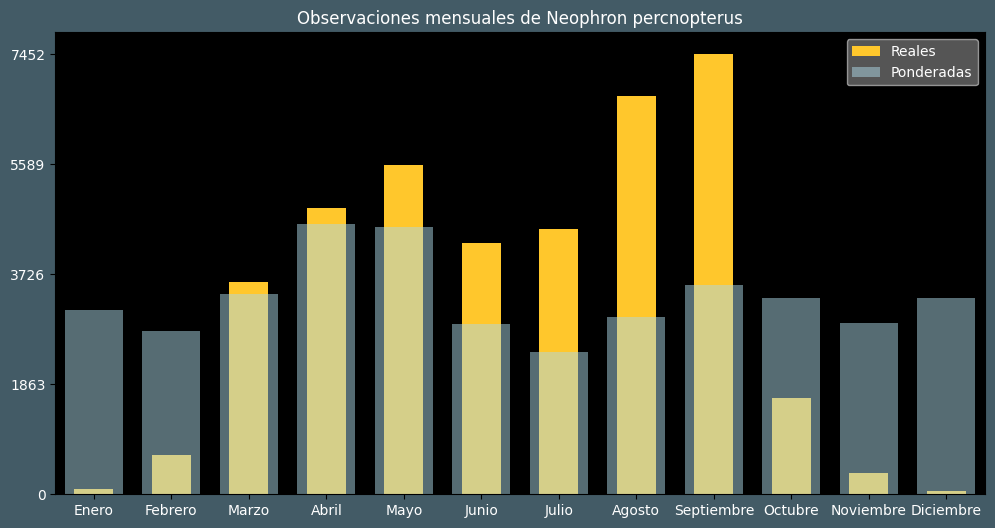 Observations by Month