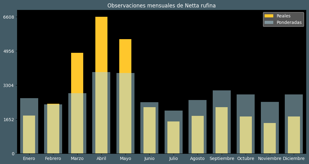 Observations by Month