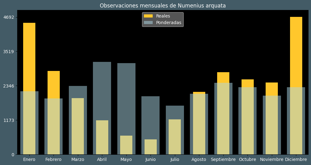 Observations by Month