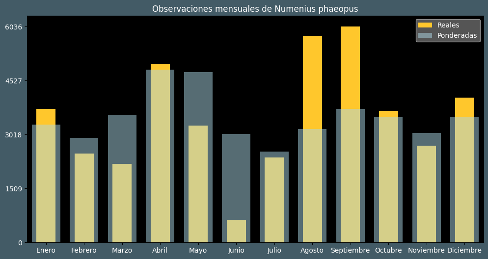 Observations by Month