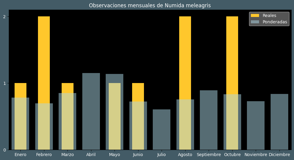 Observations by Month