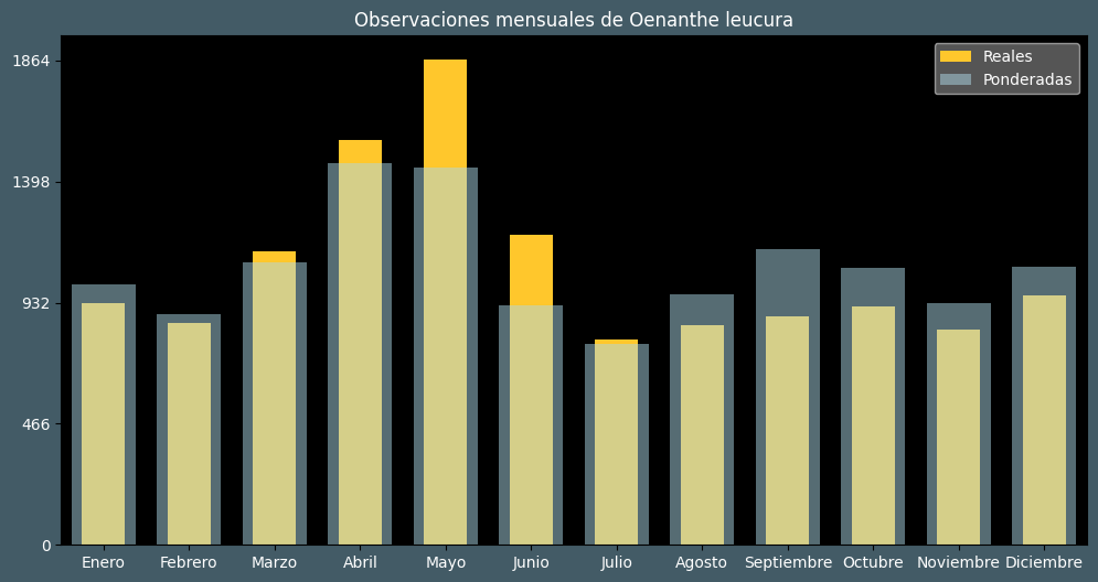 Observations by Month