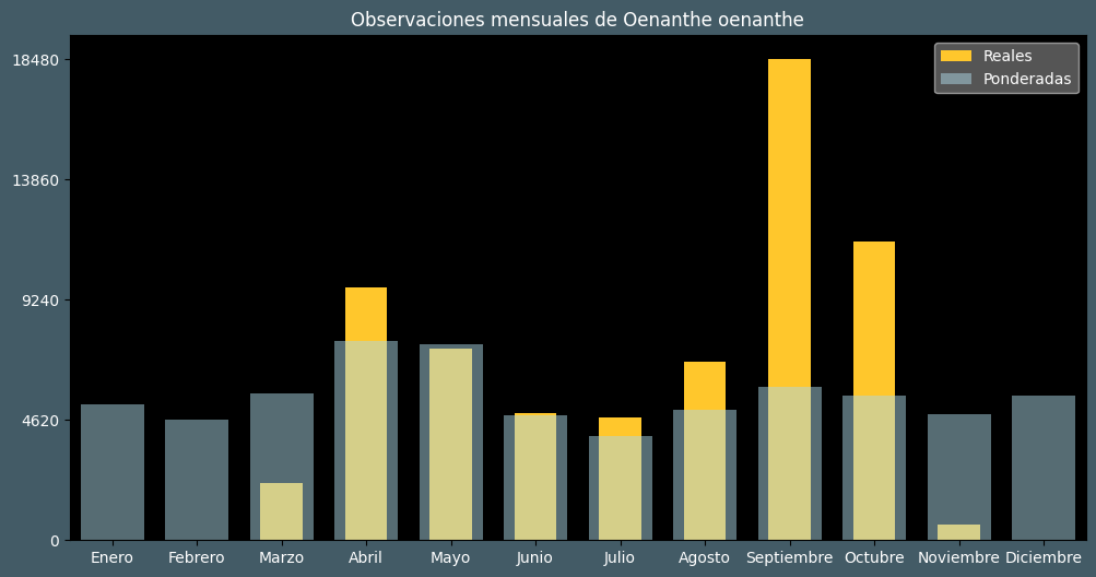 Observations by Month