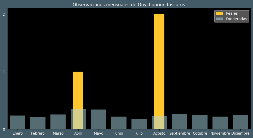 Observations by Month