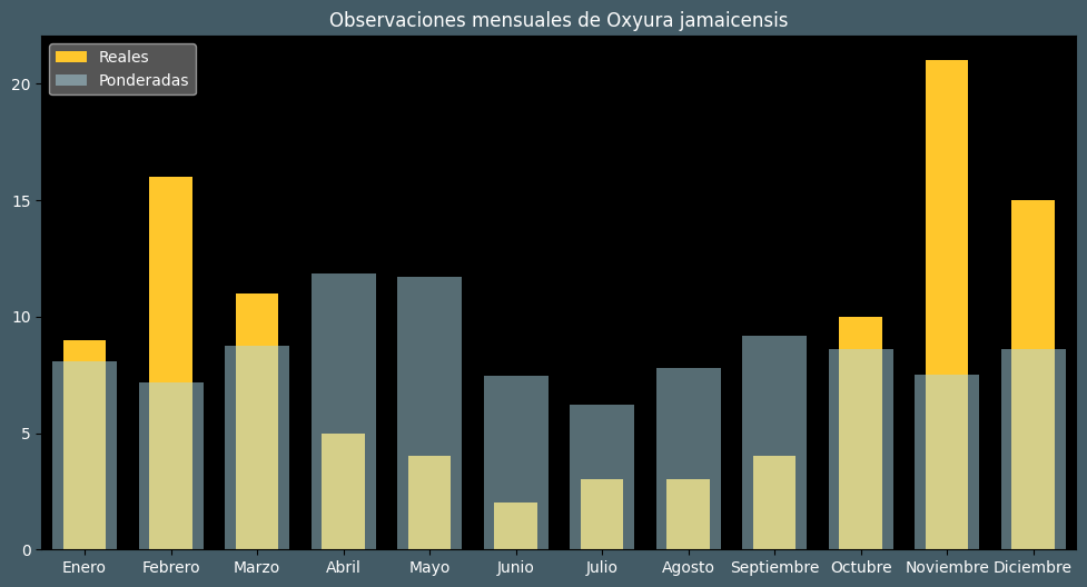 Observations by Month