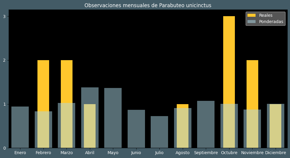 Observations by Month