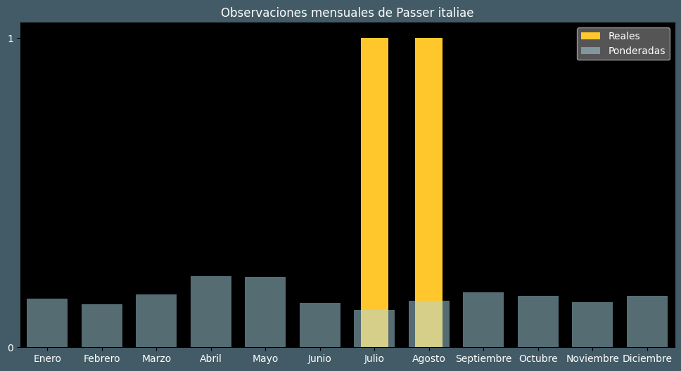 Observations by Month