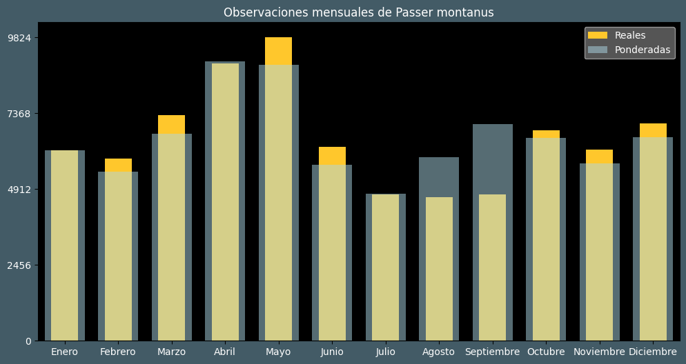 Observations by Month