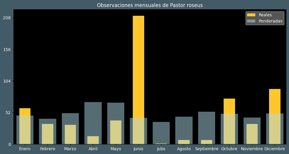 Observations by Month