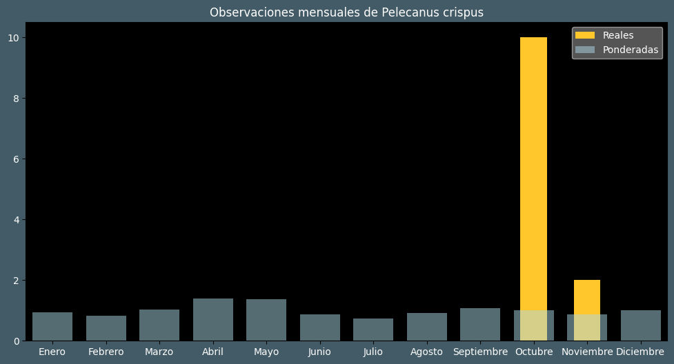 Observations by Month