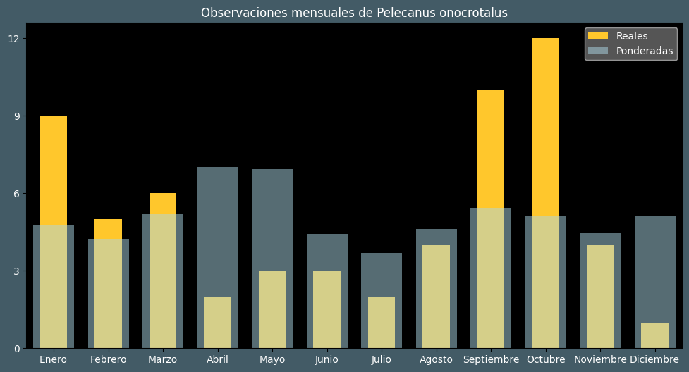 Observations by Month