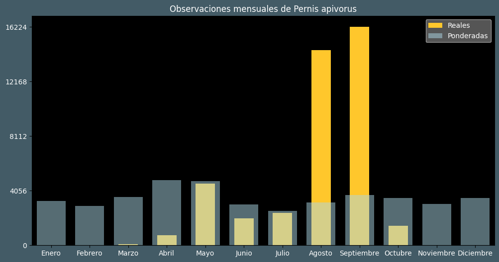 Observations by Month