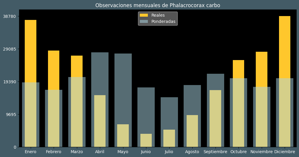 Observations by Month