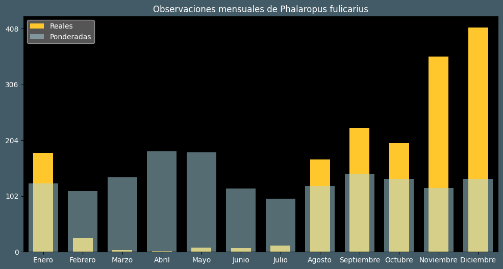 Observations by Month