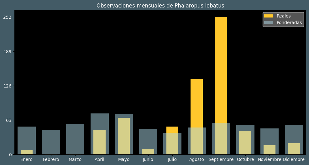 Observations by Month