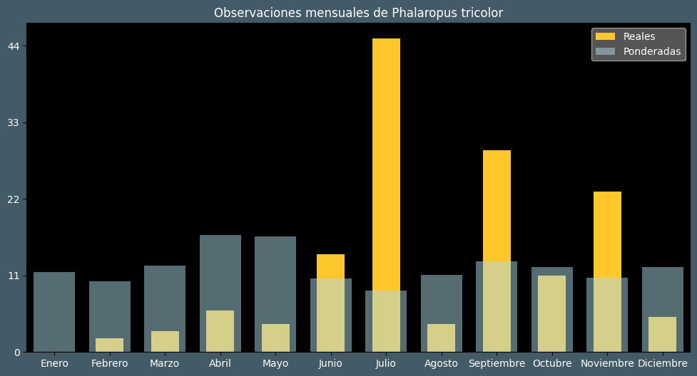 Observations by Month