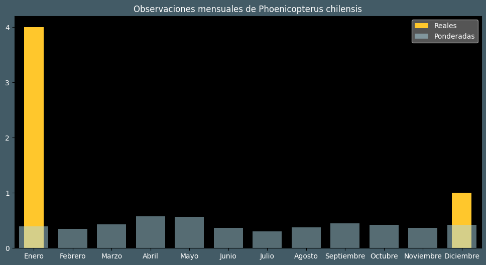 Observations by Month