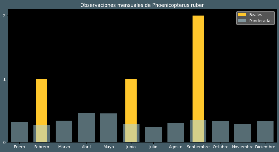 Observations by Month