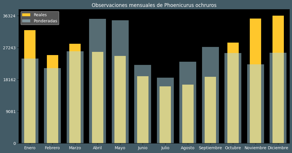 Observations by Month