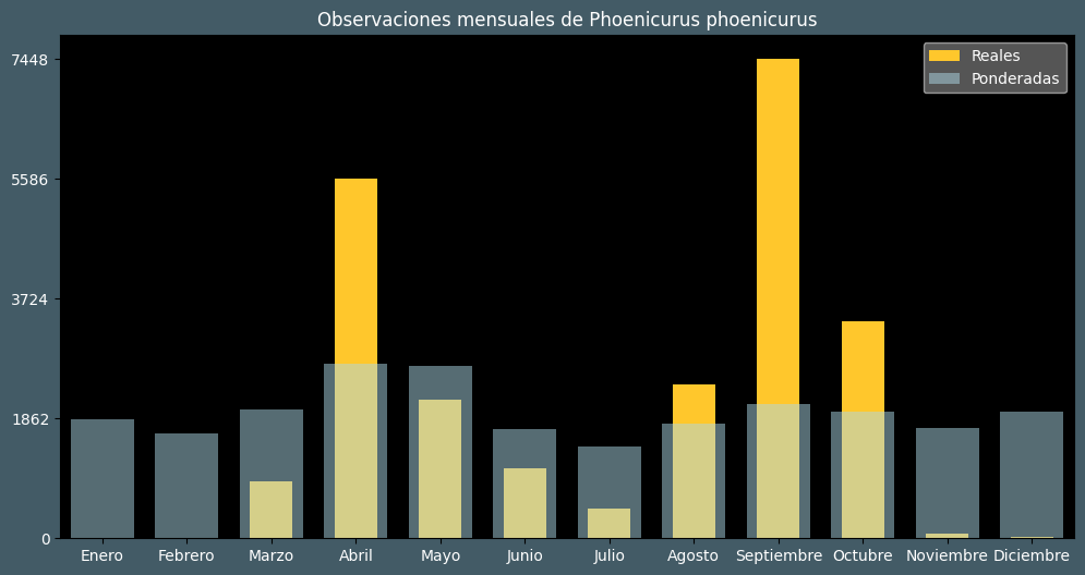 Observations by Month