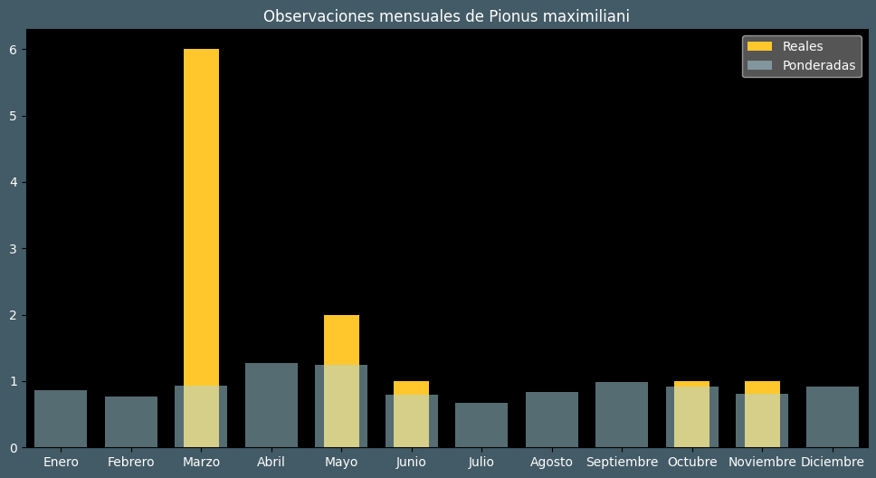 Observations by Month