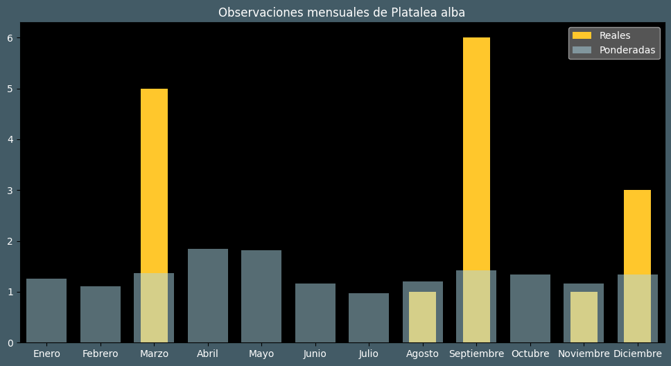 Observations by Month