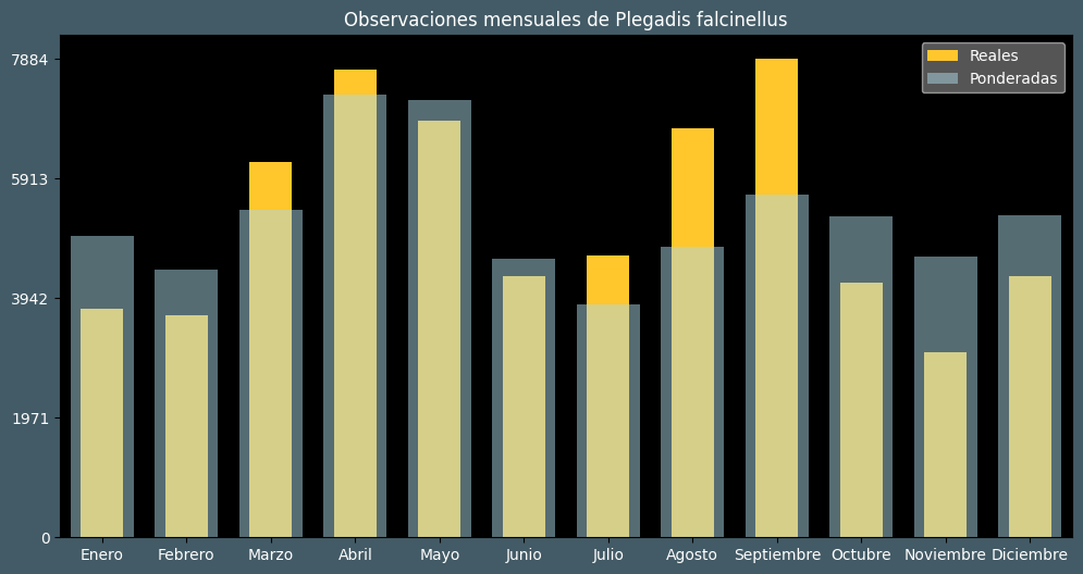 Observations by Month