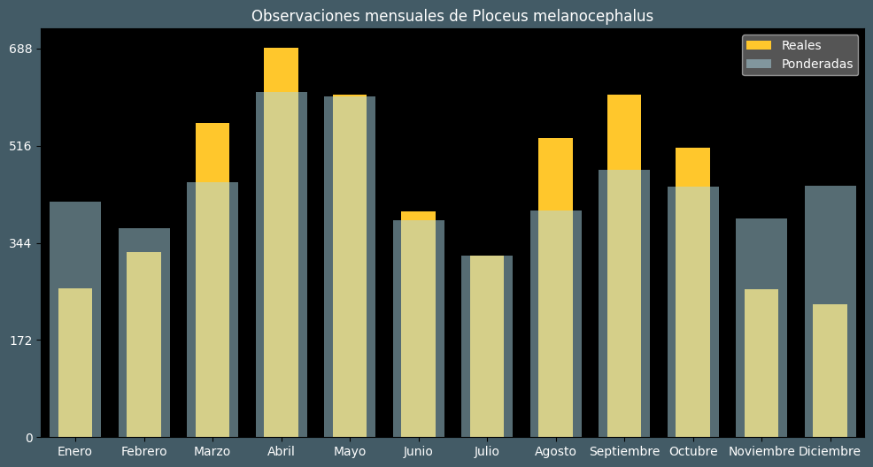 Observations by Month