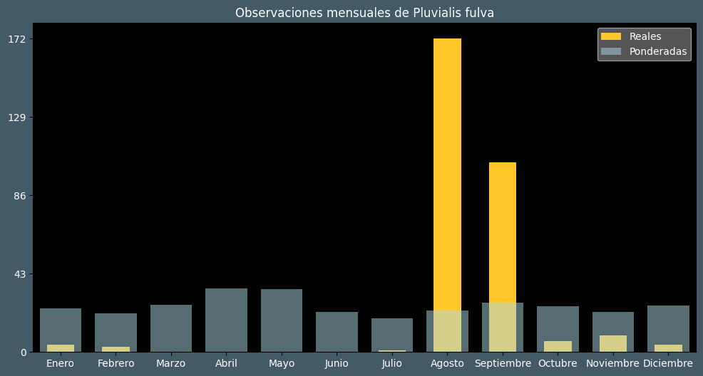 Observations by Month