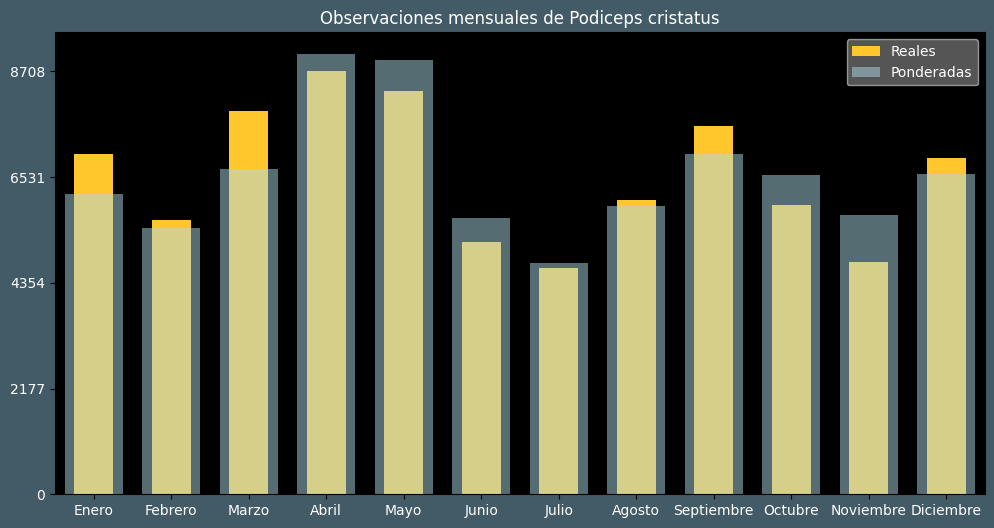 Observations by Month