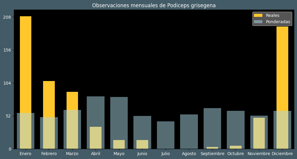 Observations by Month