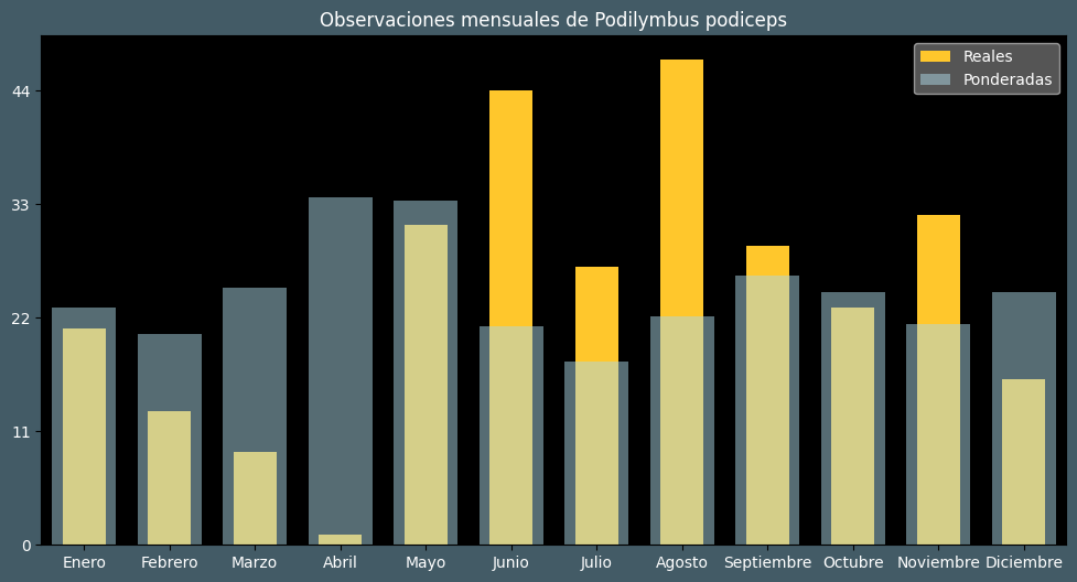 Observations by Month