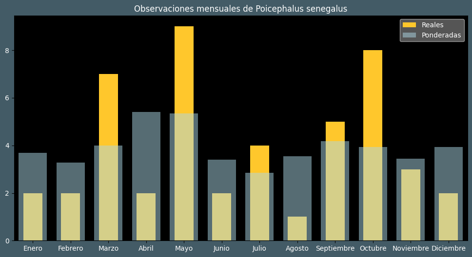 Observations by Month