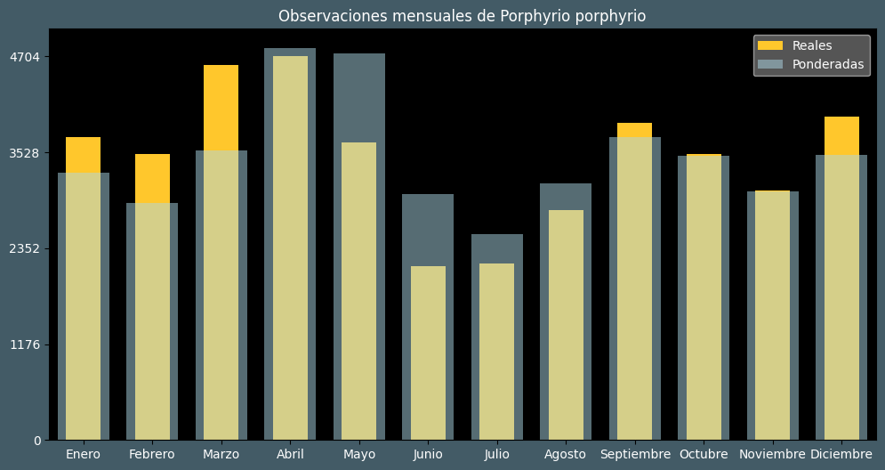 Observations by Month