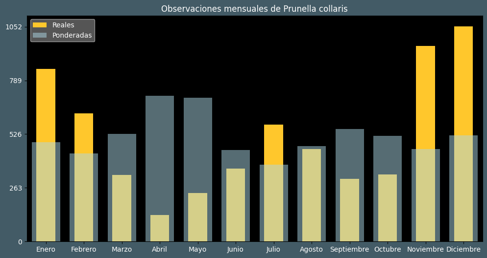 Observations by Month