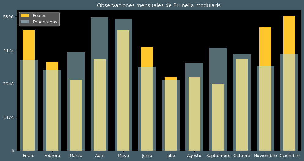 Observations by Month