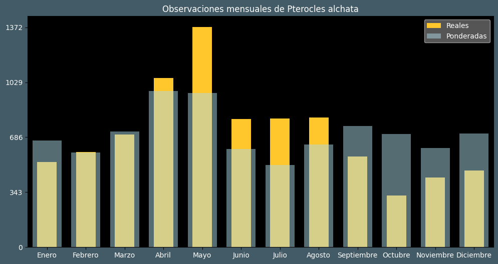 Observations by Month