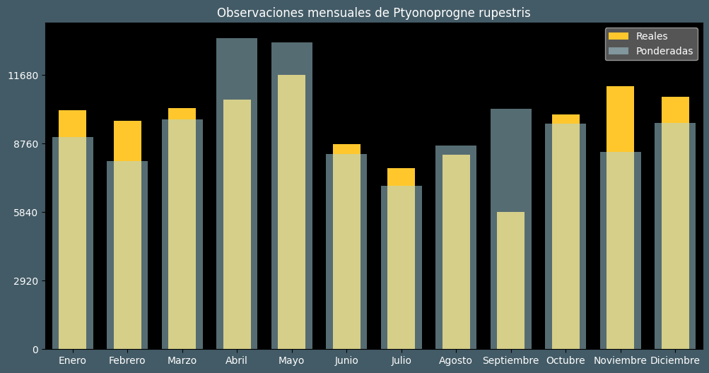 Observations by Month