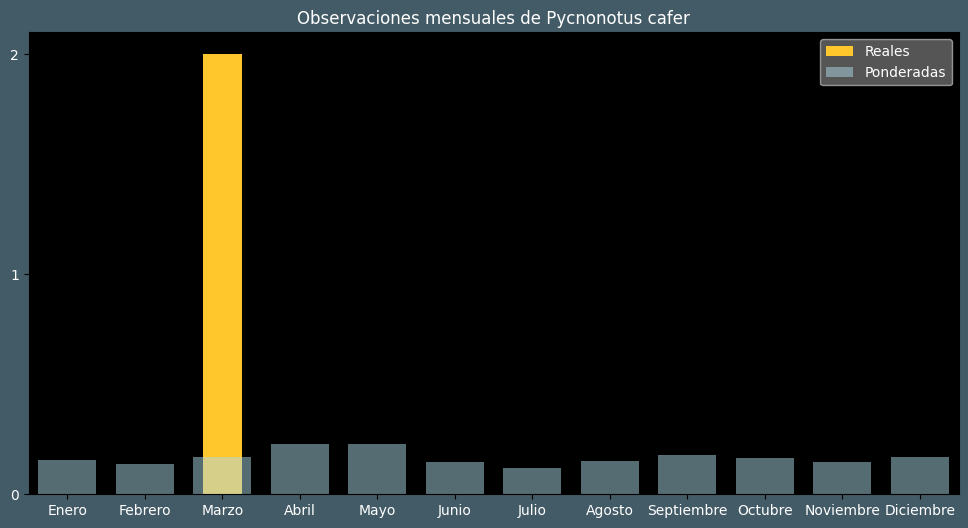 Observations by Month