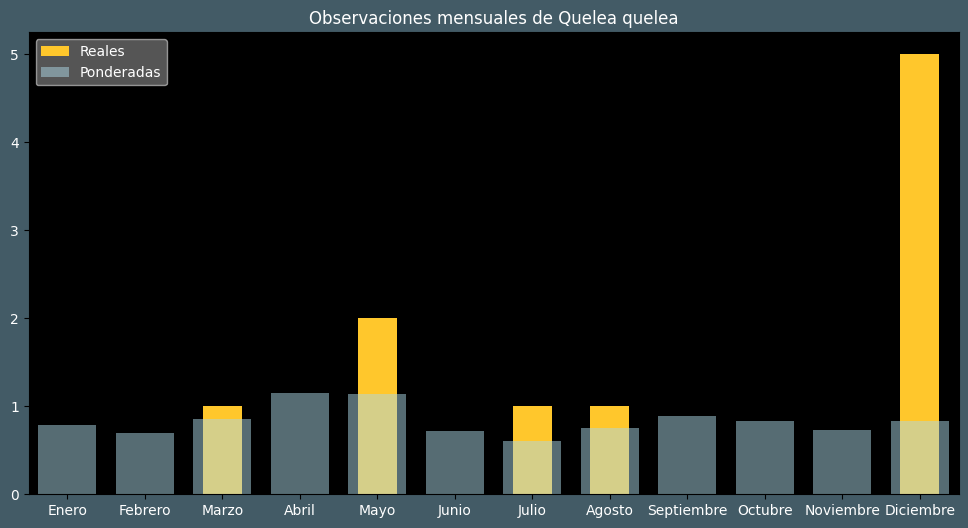 Observations by Month