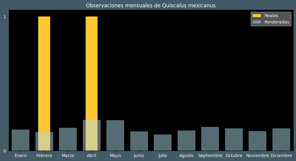 Observations by Month